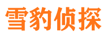 柳城寻人公司